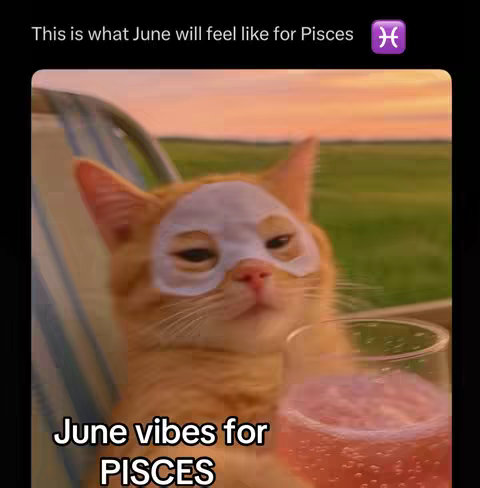 An image shows a cat wearing a white mask, reclining on a chair outdoors while holding a drink. The background is a blurred sunset. Text overlays read 'This is what June will feel like for Pisces' and 'June vibes for PISCES'.