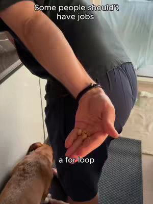 A person in dark-colored clothing is turning their back on the camera, with a dog sniffing at the person's hand. The person is holding some small food pieces. Text overlays read 'Some people shouldn't have jobs' and 'a for loop'.