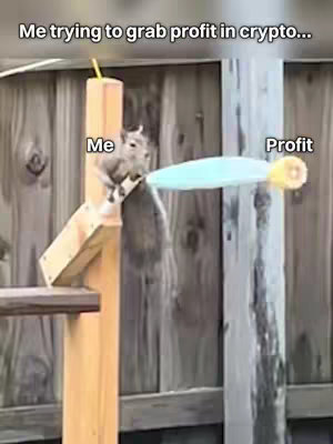 A photograph shows a squirrel trying to grab a blue object labeled 'Profit' from a wooden structure. The squirrel, labeled 'Me,' is clinging to a wooden post extending from a box. Above, text reads 'Me trying to grab profit in crypto.' The background is a wooden fence.