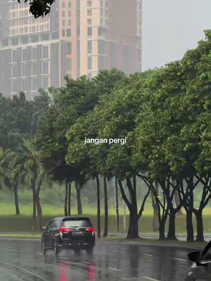 The cover image shows a wet city street with tall trees to the right and a building in the background. A car is driving on the wet street. The text 'jangan pergi' is overlaid on the image.