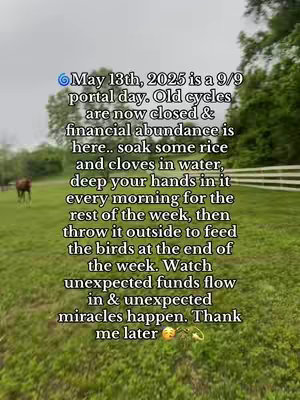The image shows a lush green field with a horse grazing in the distance. The overcast sky suggests the image was taken on a cloudy day. Overlaid on the image is text that reads like a spiritual or new age affirmation.