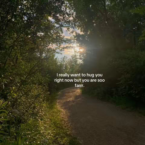 A path curves into the distance, flanked by lush green trees and foliage. The sky is visible in the background, with the sun peeking through the trees, casting a golden light. Text is overlaid on the image.