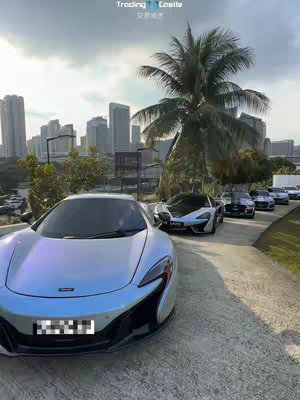 An outdoor shot of several luxury cars parked on a paved area. The cars include a light blue, shimmering McLaren, a white and black one next to it, and others lined up behind. In the background, there is a cityscape with tall buildings under a cloudy sky, and a large palm tree is between the cars and the city. The overall scene suggests wealth, trading or investment.