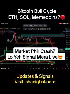 The image is a vertical graphic with a black background. At the top, white text reads 'Bitcoin Bull Cycle ETH, SOL, Memecoins?' with a red circle to the right. The main area displays a trading chart in green, red, and white. Beneath this, a white rectangular box with a black border contains the text 'Market Phir Crash? Lo Yeh Signal Mera Live' in a bold font with a heart emoji. The bottom features text 'Updates & Signals Visit: shaniqbal.com' in yellow with a black font.