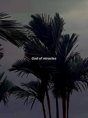 The image features a collection of palm trees against a dusky, gradient sky that transitions from a light, faded gray to a darker, more muted tone at the top. The palm trees are densely packed and silhouetted, their dark green or black fronds creating a contrast against the lighter backdrop. Across the center of the image, the text "God of miracles" is displayed in a clean, white font.