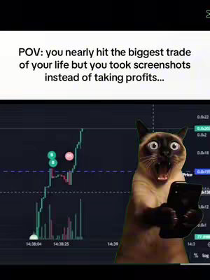 The cover image is a meme showing a cat with a surprised and exaggerated expression looking at a phone. The phone displays a trading graph. Text overlay on top reads 'POV: you nearly hit the biggest trade of your life but you took screenshots instead of taking profits...'. The overall feel is comedic.