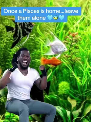 A man with dreadlocks and a white t-shirt is enthusiastically gesturing in front of an aquarium filled with green plants and different colored fish. The background includes other fish and hints of aquatic plants, with overlay text at the top.