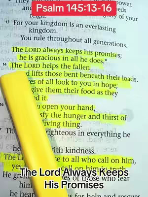 The image shows a page from a Bible with specific verses highlighted in yellow. At the top is a red box with text indicating the chapter and verses. A yellow highlighter is positioned next to the text, and at the bottom is a text overlay containing a Bible quote.