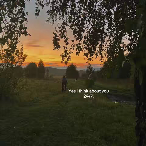 An image of a scenic sunset over a green field, with silhouetted trees and the figure of someone riding a bicycle in the distance. Text overlayed reads, 'Yes I think about you 24/7.'