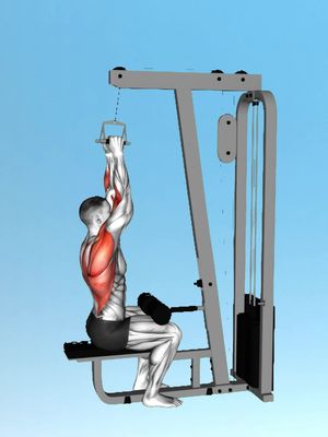 A 3D rendering of a person using a lat pulldown machine in a gym. The figure is in a seated position, grasping the overhead pulldown bar. Their muscles are highlighted in red, showing the muscles in use. The background is a solid light blue color.