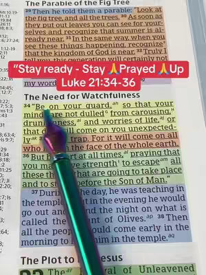 The image shows a page from the Bible open with its text highlighted by a pen. A red rectangular box on top shows the hook text. A green pen with a purple hue is pointing at a specific text in the image.