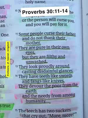 An open Bible with highlighted text from Proverbs 30:11-14, featuring the title text in a white rectangle and annotations in pink and yellow highlighter.