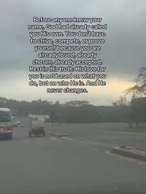 The image captures a road scene with a text overlay. The shot is taken from a moving vehicle, with the road and a central median in focus. A small cart is ahead. The sky is overcast. Text is positioned across the image, the format is vertical.