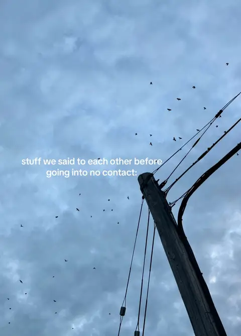 A moody, overcast sky fills the background. Silhouetted against it are numerous birds in flight, scattered throughout the frame. In the foreground, there's a weathered wooden utility pole on the right side, with power lines and cables diagonally ascending towards the upper-right corner. The color palette is cool, dominated by shades of gray and blue. Text is overlaid mid-screen.