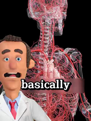 A cover image with a 3D-style cartoon man against a backdrop of a human circulatory system illustration. The man is a 3D animated character with light skin, dark hair, prominent features, and open mouth. He's wearing a suit. A large, stylized graphic of a red circulatory system is superimposed behind the cartoon man. In the lower center lies a red box shape containing a white word with black border, reading 'basically', and covering parts of the man and the background anatomy.