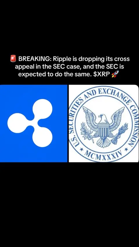 The image is split into two vertical sections against a black background. On the left, a blue background features the Ripple logo—three rounded, interacting shapes in white. On the right, the image shows the emblem of the U.S. Securities and Exchange Commission: an eagle centered within a circular seal, with blue text around the edge. Above the logo of the Commission is white text that reads "U.S. SECURITIES AND EXCHANGE COMMISSION"