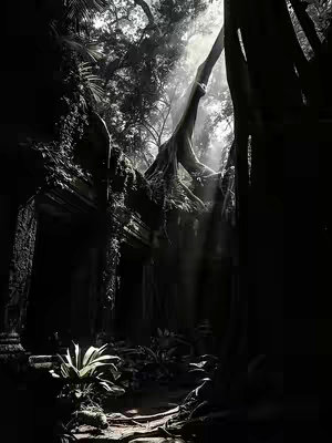 An atmospheric black and white image of a jungle or ancient ruins. Sunlight streams through the canopy, illuminating the stone structures and lush vegetation. The composition is dramatic, with heavy shadows and highlights.