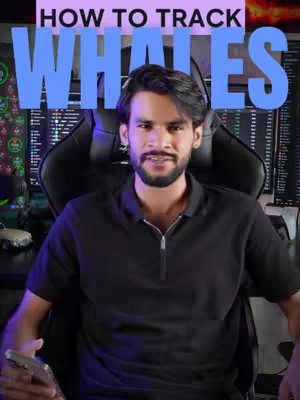 A man with a beard is sitting in a black chair. The man is wearing a black shirt and is holding a phone. Behind him are computer screens. Text overlayed on the image reads "HOW TO TRACK WHALES".