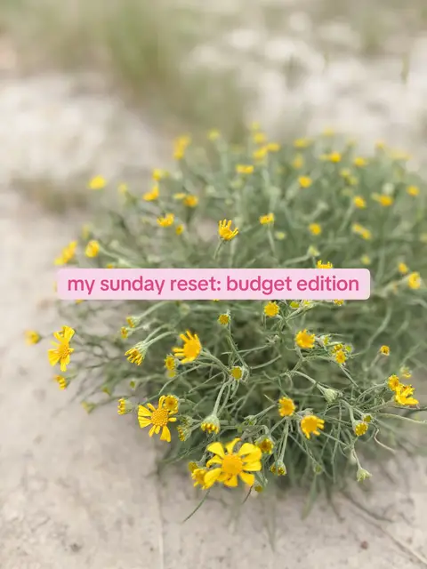 A close-up shot of a small bush with bright yellow flowers against a blurred background of sand and greenery. The composition is soft-focused, with the pink text overlay at the bottom.