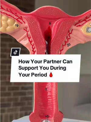 The image is a vertical shot of a 3D model of female reproductive system, specifically showing the uterus and fallopian tubes. The model is red and white, with numbers and details. A white rectangular text overlay includes the following text: "How Your Partner Can Support You During Your Period" and a red drop emoji. The background shows a brick wall.