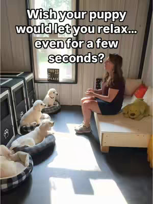 A woman sits on a bench, facing right, in an indoor setting. Several puppies are nearby, some resting in beds. Text overlays the image, addressing the viewer directly.