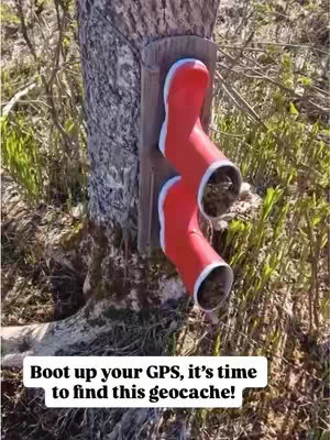 The image displays a tree trunk with red rain boots attached to it, creating a geocache. The boots are mounted on a wooden board and appear to be part of a geocaching setup hidden in plain sight. The surrounding environment includes green grass and the background is blurred.