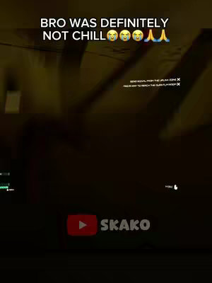 The video cover showcases a dark, first-person view from a video game. The scene is dimly lit with yellow hues and a textured ceiling. Overlay text in white, and emojis adds a personal touch. The lower portion features the YouTube logo with the creator's username, 'SKAKO.'