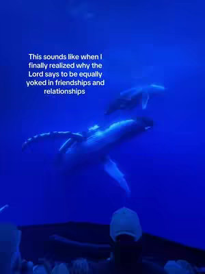 The image is a deep blue underwater scene featuring two whales, one large and one smaller, swimming towards the surface. Text overlays appear in the upper left quadrant, describing the message relating to the Lord. A person's head and shoulders are visible in the bottom portion of the image.