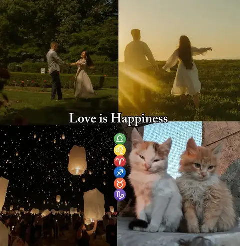 The image is a collage of four sections arranged in a 2x2 grid. The top left shows a couple holding hands and walking in a garden. The grass is green and there are some red flowers. The top right image shows a couple walking across a field with the sun setting in the background. The bottom left displays a nighttime scene with many floating lanterns. The bottom right shows two cats with different markings placed on what looks like a wall.
