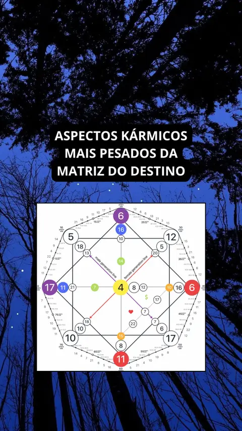 The image shows a night scene with a dark, silhouetted tree canopy at the top, set against a dark blue sky with faint stars. Below this, a diagram is superimposed. It's a circle divided into segments with numbers and lines interconnected. The text overlay sits above the diagram, written in a bold white font against a black background.