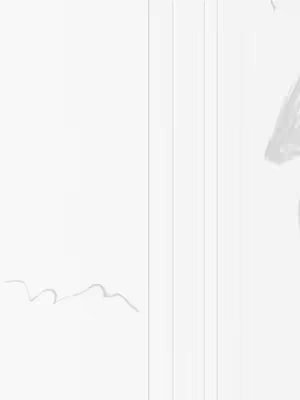 Abstract, minimalist image in shades of white and gray, featuring vertical lines on the right, and an amorphous shape in gray near the top.