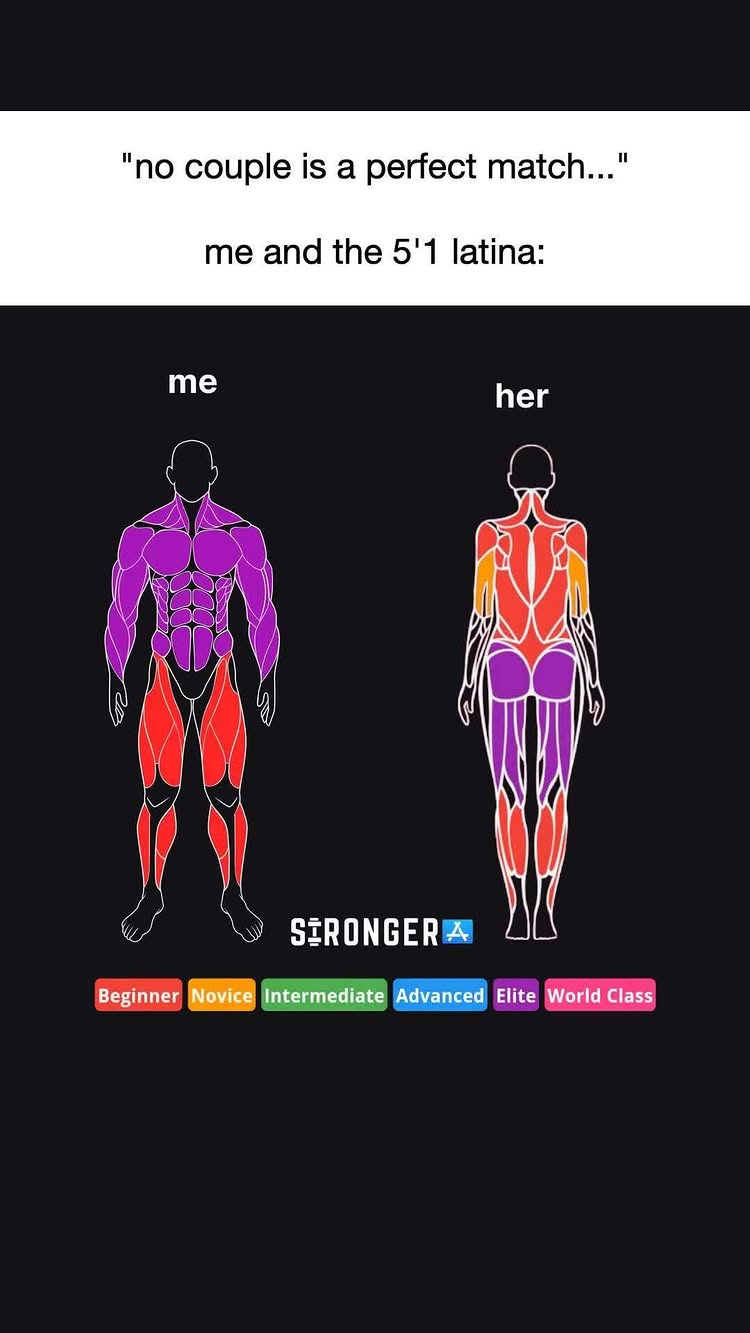 The image is a visual comparison between two stylized human figures, one male (left) and one female (right), against a black background. The male figure is colored predominantly in purple highlighting the muscles of the front of the body while the other figure is colored with orange, red and purple. The image uses a color-coded system, likely to show the level of workout. Below the figure there are colored button with text such as "beginner", "novice", "intermediate", etc.