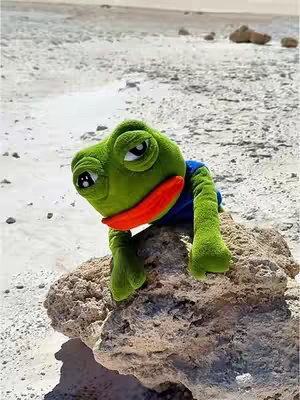 A stuffed Pepe the Frog doll, predominantly green with a blue shirt and a red mouth, is perched on a rough, textured rock. The background is a sandy, light-colored environment suggesting a beach or desert, with scattered small rocks and a blurred horizon.
