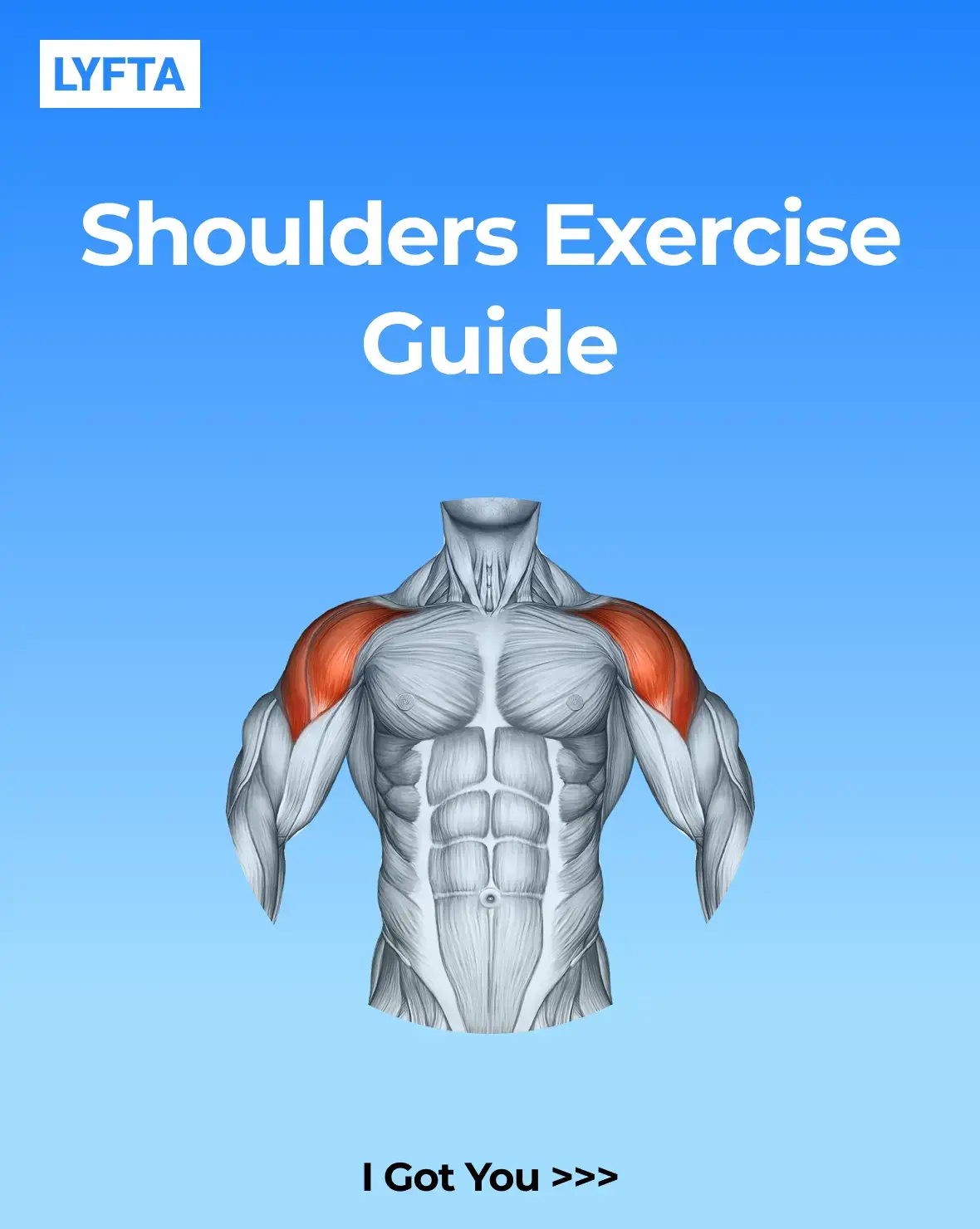 The cover image features a stylized illustration of a human torso highlighting the shoulder muscles with red color. The background is a gradient blue, and white text is overlaid at the top and bottom.