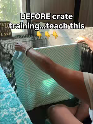 A person holding a blanket over a dog crate, near a window. The crate is metal and has a dog bed inside. Written text is overlaid on the image.