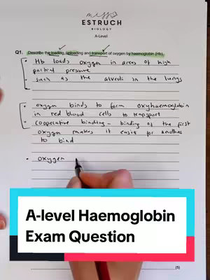 A still shot shows a person's hand writing on a piece of paper. Above is the header "miss ESTRUCH BIOLOGY A-Level" written in different type styles and fonts. A lower colorful rectangle highlights the title "A-level Haemoglobin Exam Question".