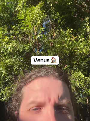 A person's face, primarily the forehead and eyes, is seen below a large tree with dense green foliage. A white rectangular overlay with the word "Venus" and a home icon is placed in the center of the image.