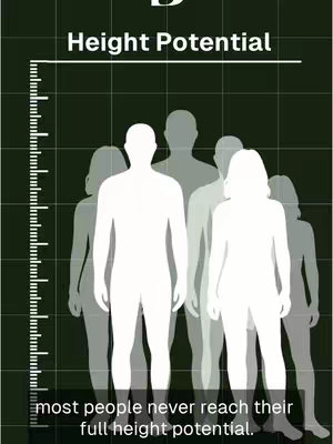 The image is a visual representation of height potential, set against a dark teal, grid-patterned background. A vertical scale, resembling a ruler, is positioned on the left side. Silhouetted figures of varying transparencies are lined up, suggesting a comparison or progression. The text overlay reads 'Height Potential' at the top.