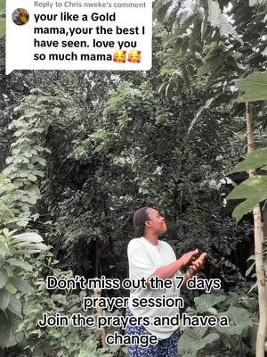 A woman stands outdoors amidst dense foliage, gazing upwards with folded hands. Text overlays are superimposed on the image, offering a contextual narrative and call to action. The composition is balanced with natural lighting.