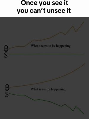 The image shows a meme comparing what appears to be happening in the crypto market to what is really happening. The top part shows a rising line labeled 'What seems to be happening', while under that, a flat line is shown. The bottom section, labeled 'What is really happening', depicts a similar rising line above a falling line, using Bitcoin and dollar indicators. The background is dark, and the text overlay at the top reads, 'Once you see it you can't unsee it'.