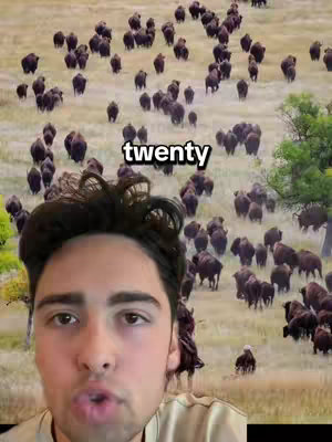 A selfie-style video cover image shows a young man's face in the foreground, with a background of a large field filled with bison. The man has dark hair and is looking towards the camera with a surprised expression. A text overlay reads "twenty".