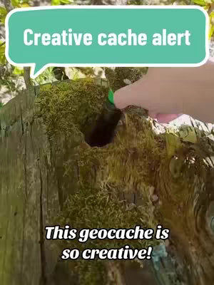 A vertical cover image showing a section of a tree stump covered in green moss. A hand with a green painted nail is reaching into a hole within the stump. The scene is natural and outdoors.