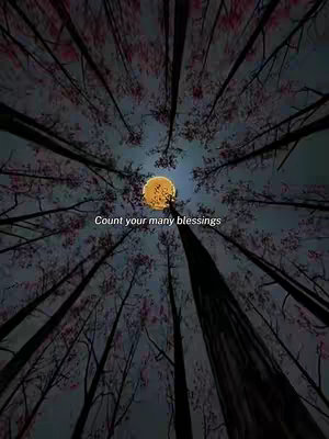 An upward-facing shot through a forest canopy at twilight. Tall, dark tree trunks stretch towards the top of the frame, with their branches and leaves forming a web against a dusky sky. A large, softly glowing moon is centered, and the words 'Count your many blessings' are overlaid across the middle.