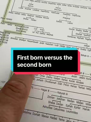 The cover image shows a close-up of a page with handwritten text, likely from old books or documents. Overlaid on top is a text box with the words "First born versus the second born". A finger points at the text. The background is a light-colored page filled with intricate text and lines. A color palette of tans, whites, black, and teal is used.