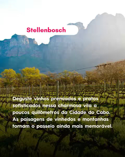 The cover image showcases a scenic vineyard in Stellenbosch, South Africa. The foreground is filled with rows of grapevines with green leaves. Behind the vineyard, there are rolling hills covered in trees with yellow leaves. In the background, a large mountain range creates a prominent backdrop, partially obscured by a soft haze. The sky is bright, suggesting a sunny day. The image predominantly features green and brown tones from the vegetation, along with the blue and light from the sky, creating a visually appealing composition.