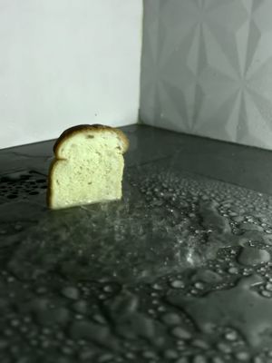 A close up of a piece of bread standing in what appears to be liquid. The bread is light in color and stands out from the darker liquid surface in front of a light background.