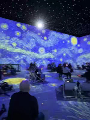 An indoor virtual art exhibit displaying a Van Gogh painting on the walls and ceiling. People are in the room looking at the art.