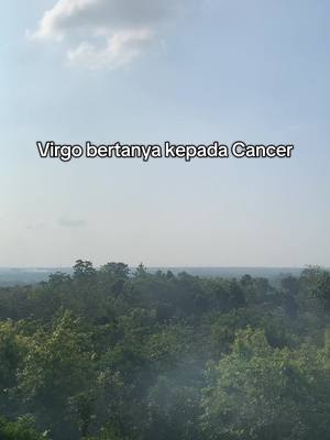 A scenic view of a landscape under a blue sky with clouds. The foreground is filled with dense green trees, and the horizon shows a misty or hazy distant view.