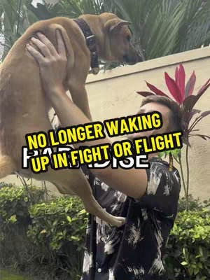 A man holds a light brown dog up in the air, with the dog's belly facing the camera. The man is wearing a black and white patterned shirt. Behind them is greenery and a tan wall. Text overlays the image.
