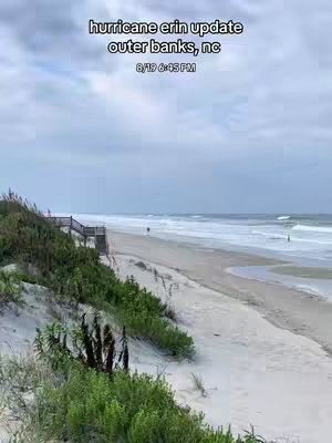 A scenic view of a beach with the ocean and sky. In the foreground are green plants and sand dunes. In the midground is the sandy beach and water with a person walking along. The sky is covered in clouds.